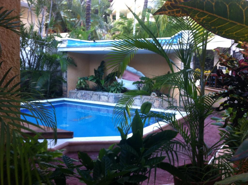 Vista Caribe Diving Resort ปลายาเดลการ์เมน ภายนอก รูปภาพ